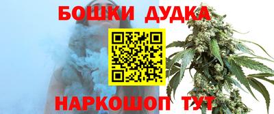 гидра Кинель