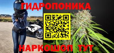 Альфа ПВП Кимры